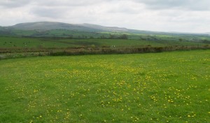 West Devon Countryside