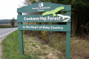 Cookworthy Forest sign