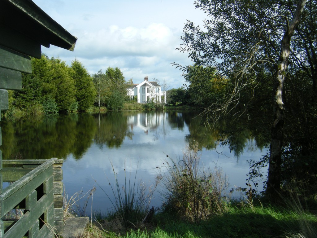 View across lake