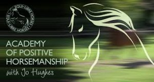 positive horsemanship