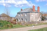West Nethercott bed and breakfast