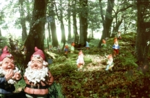 gnome reserve