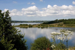 roadford nature