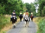 Horse riding in Cookworthy Forest