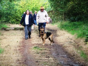 Dog walking in Cookworthy Forest