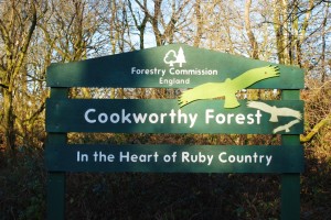 Welcome to Cookworthy Forest
