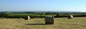Youldon Moor hay crop