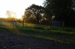 Sunrise at Buttermoor Farm
