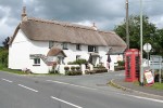 Pint and Post