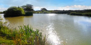 Fishing in Ruby Country