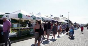 Bude Farmers Market